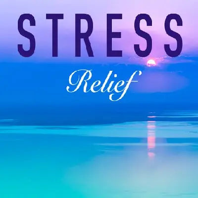 Stress Relief Accessories - AccessoryZ