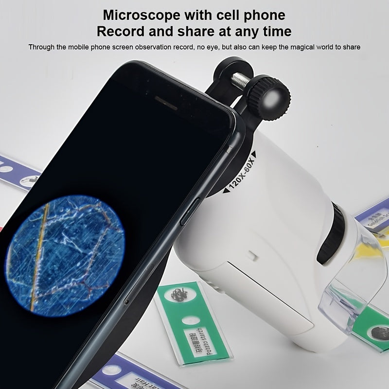 Portable Pocket Microscope 60X-120X with LED Light | AccessoryZ