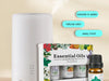 3 Pack - Aromatherapy Essential Oils Gift Set | AccessoryZ