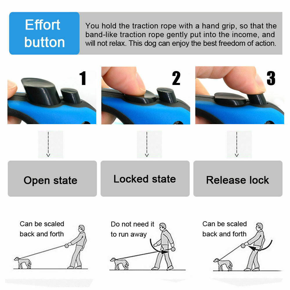 Retractable Dog Leash | AccessoryZ