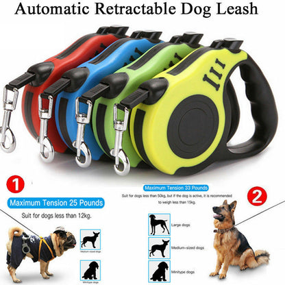 Retractable Dog Leash | AccessoryZ