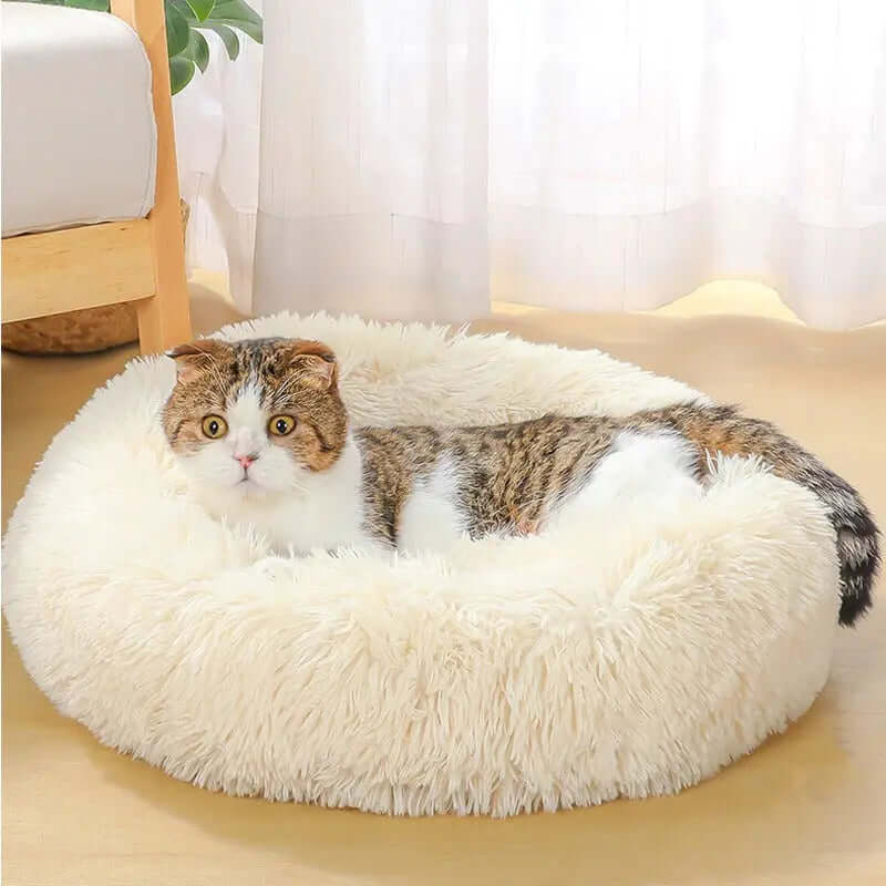 Pet Bed Super Soft Long Plush AccessoryZ